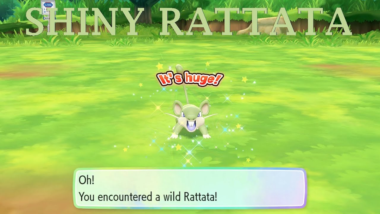 Shiny Ratta It's HUGE! Chained Shiny Rattata - Pokemon Let's Go Eevee - YouTube