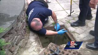 Family of ducks rescued from storm drain