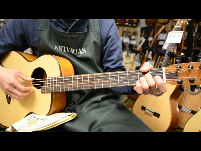 aNueNue Bird Guitar M10 ミニアコースティックギター アヌエヌエ 美品
