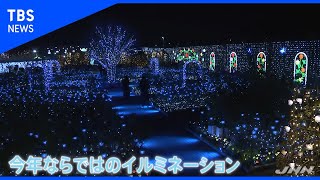密を避けて楽しめる穴場イルミネーション【Nスタ】