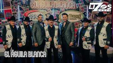 Banda MS de Sergio Lizárraga & Los Tucanes De Tijuana – El Águila Blanca (Video Oficial)