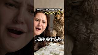 Лапы моем каждый день специальным мылом, чтобы мягко убрать всю грязь после улицы Артикул #WW135443