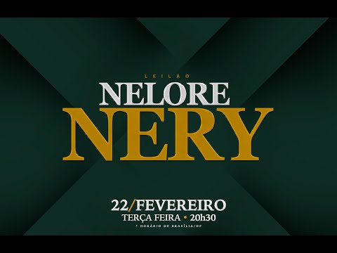 Lote 04   Bathinda FIV NERY   NERY 222 Copy