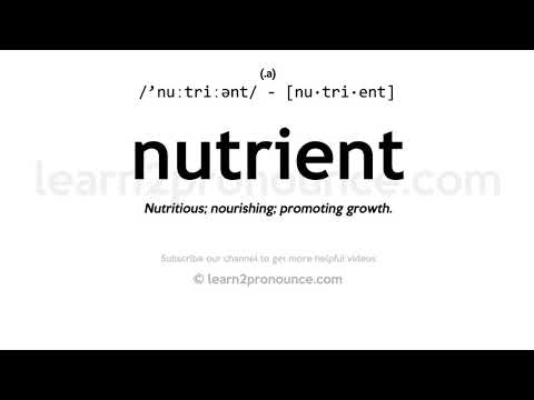 Uitspraak van voedingsstof | Definitie van Nutrient