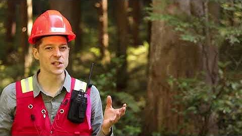 Measurements - Sampling Fixed-Area Plots