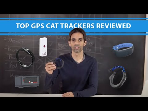 Video: Collars For Cats And Cats: Varieties With GPS, With Pheromones, Decorative And Others, How To Choose The Right One, How To Train A Pet