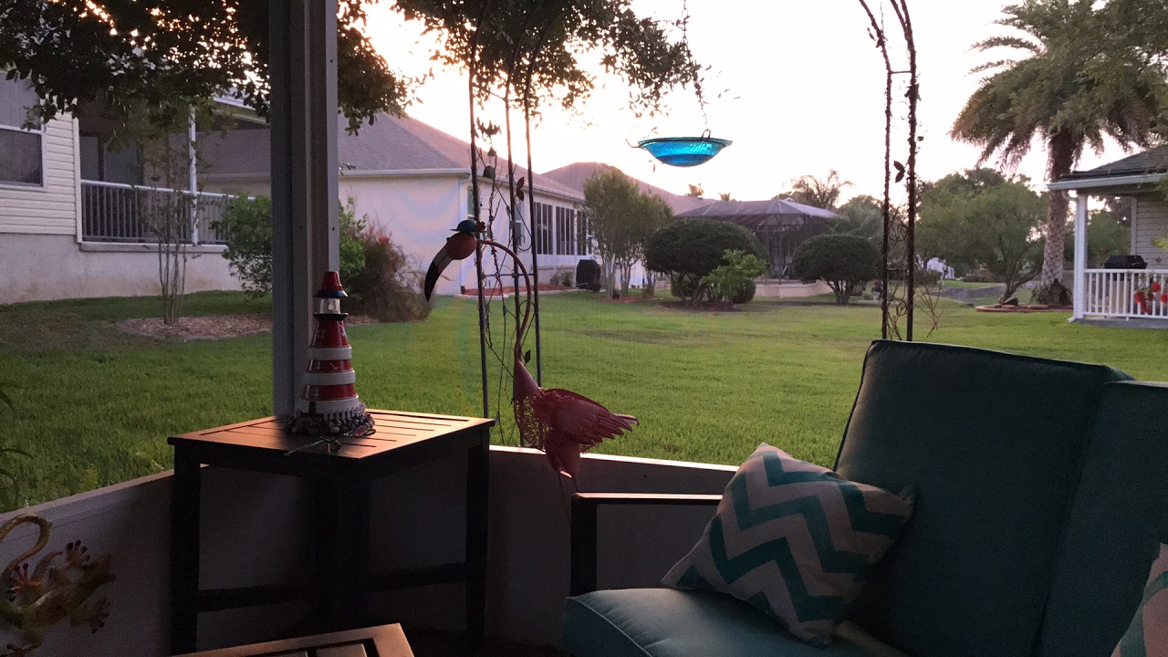 Saturday sunrise and craftroom update how to slice an avocado
