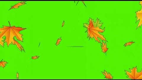 Maple leaf Green Screen | Non Copyrighted Video | Animation Background loops video editing overlays