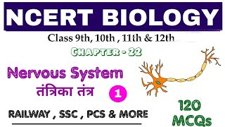 NCERT BIOLOGY : Nervous System / तंत्रिका तंत्र  || 120 V.V.I MCQs || Bilingual || Part-1