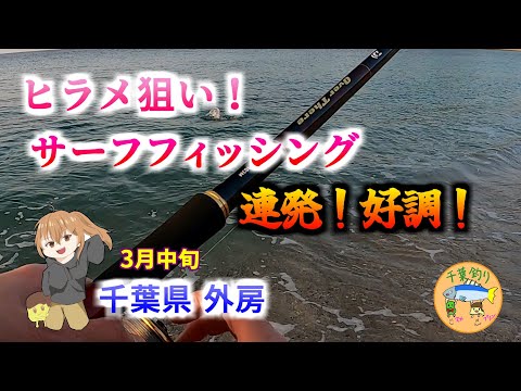 【千葉釣り】サーフフィッシング！ヒラメ連発！好調！
