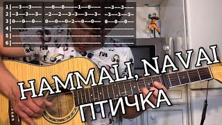 Hammali, Navai - Птичка аккорды на гитаре табы