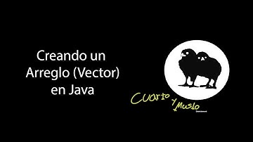 Creando un Arreglo (Vector) desde Java