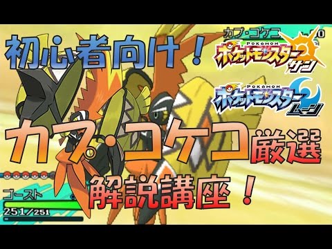 ポケモンusum 準伝