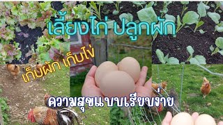 เก็บผัก เก็บไข่ ความสุขแบบเรียบง่ายในต่างแดน #17/5/2024