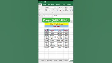 Use THIS Excel Filter Shortcut! 🔥#excel#excelformula #excelfunction #exceltips #exceltutorial#shorts