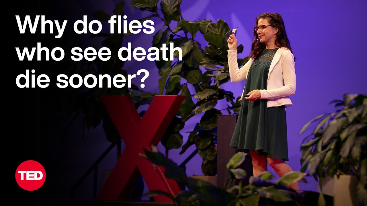 Exploring the Science of Lifespan and the Influence of Your Five Senses | Presented by Christi Gendron at TED – Video