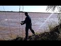 PESCA EN EL RÍO TALAVERA EN UNA ISLA DE ZARATE !!!!