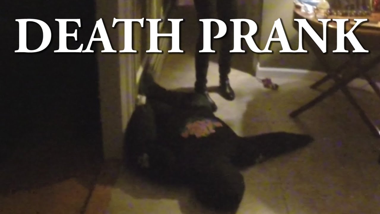 FAKE DEATH PRANK Scaring Mom Prank Funny Reaction YouTube