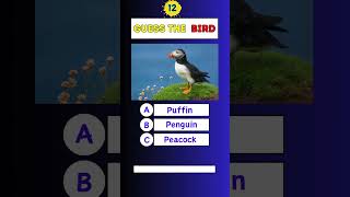 Guess The Bird 🐦🕵️|Part 12 #triviachallenge #genralknowledge #americanquiz