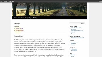Full Demo of Auto Terms of Service and Privacy Policy WP Plugin