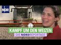 Franziska muss den Weizen retten | Trecker, Typen, Erntezeit 4 | Die Nordreportage | NDR