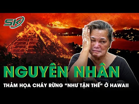 Video: Hôm nay có động đất ở Oahu không?