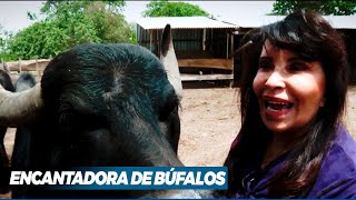 LA ENCANTADORA DE BÚFALOS: Heredó un campo en Corrientes y cuida búfalos