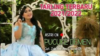 PUCUKE DEMEN - ASTRI CN - Cipt. Zale RM - TARLING TERBARU 2021/2022