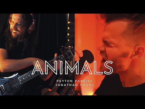 Nickelback - Animals (Peyton Parrish Cover) Prod. by @Jonathan Young