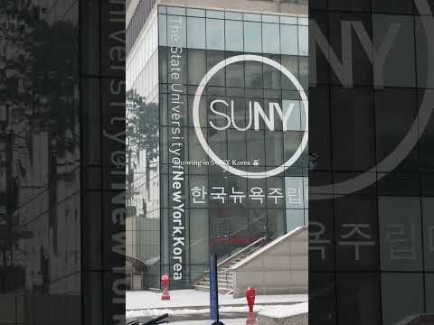 Snowing in SUNY Korea image