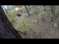 Man chased by a bear through the woods on a mountain bike 3 peaks cycles