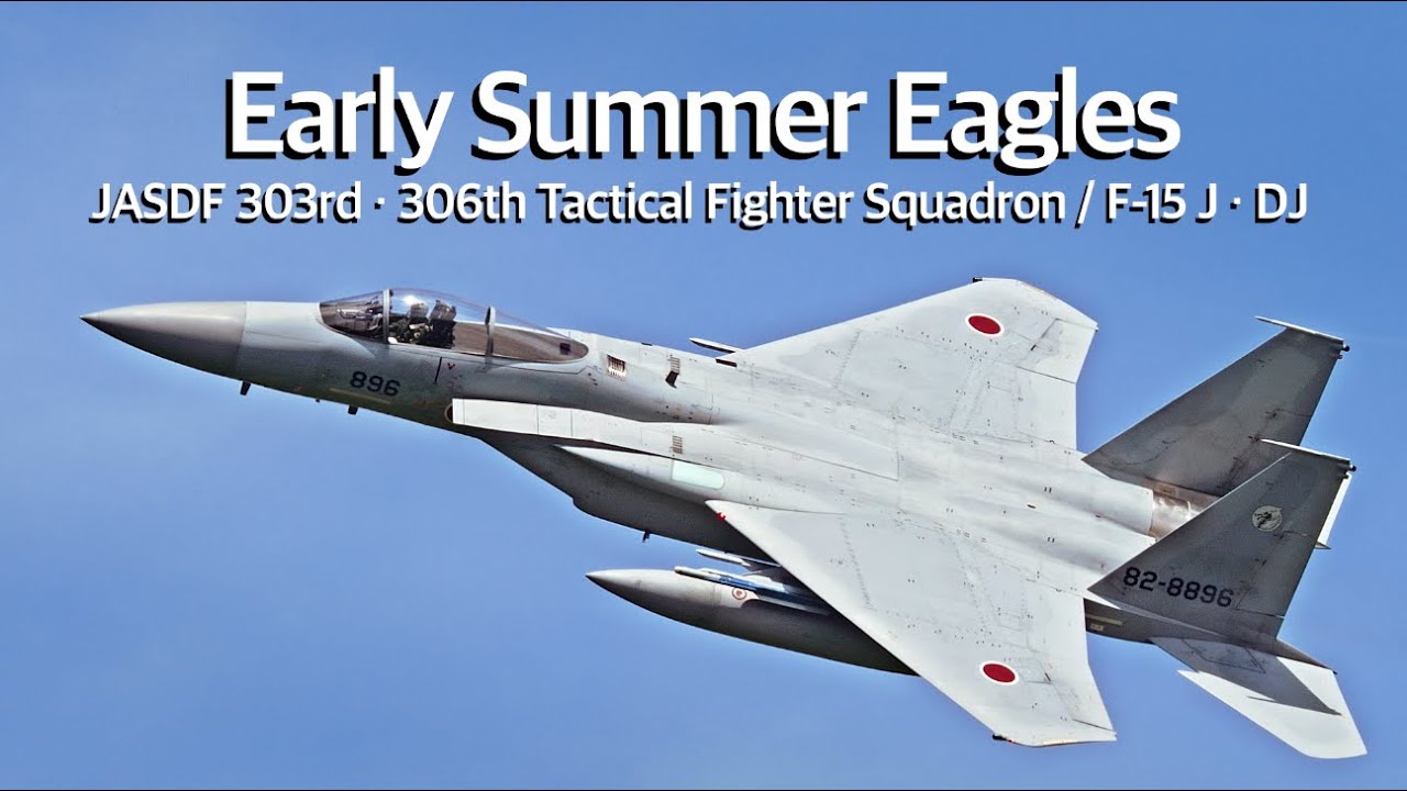 JASDF SQUADRON MA-1 航空自衛隊 パイロットリバーシブル