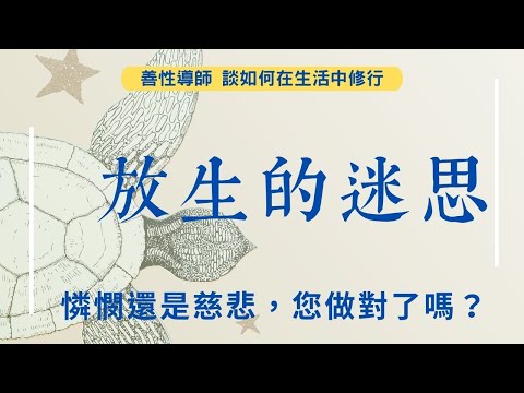 影片縮圖，點擊播放