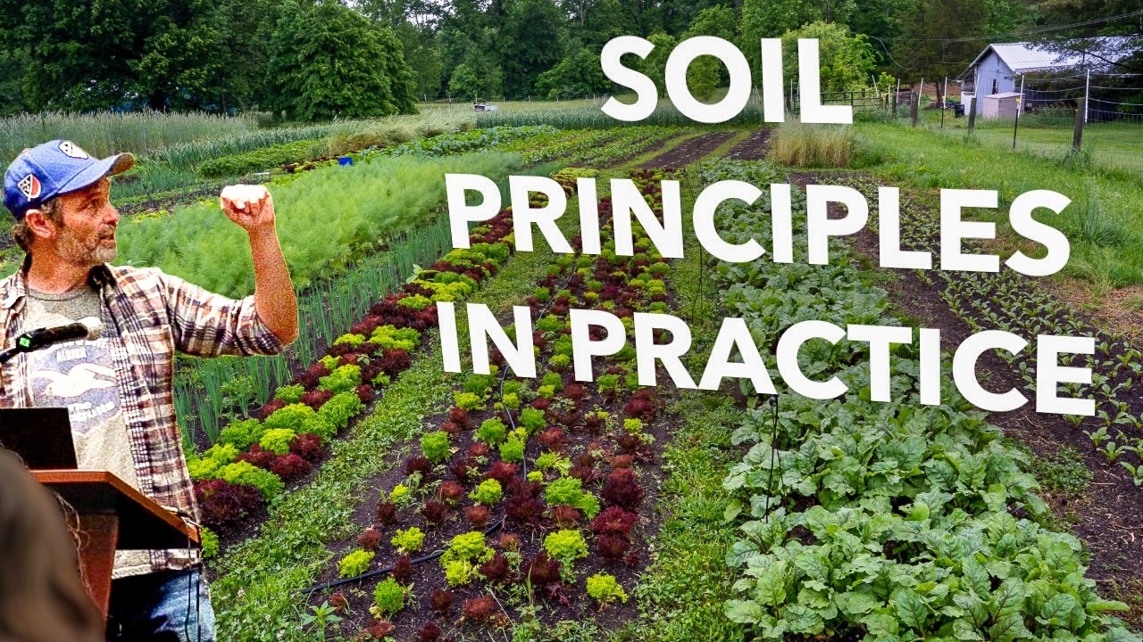 Maintaining Living Soil + Applying the Three Principles of Soil Health