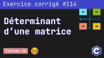 Exercice corrigé 114 : Programme qui calcule le déterminant d