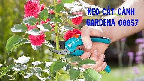 Kéo cắt cành Gardena 08857-20