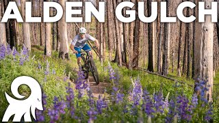 Mountain Biking Alden Gulch in Sun Valley, ID