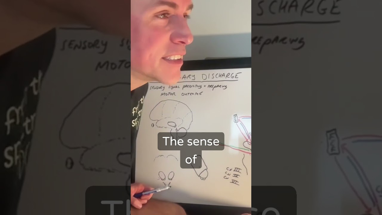 Autistic overload, speech as self satisfaction #autistic #science #neurofeedback