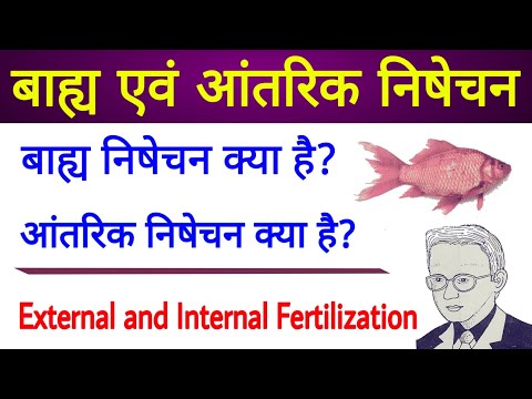 बाह्य निषेचन और आन्तरिक निषेचन क्या है?| External and Internal Fertilization | Biology in hindi
