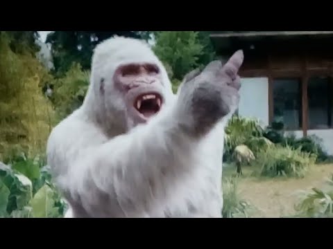 مقطع مضحك من فيلم Rampage