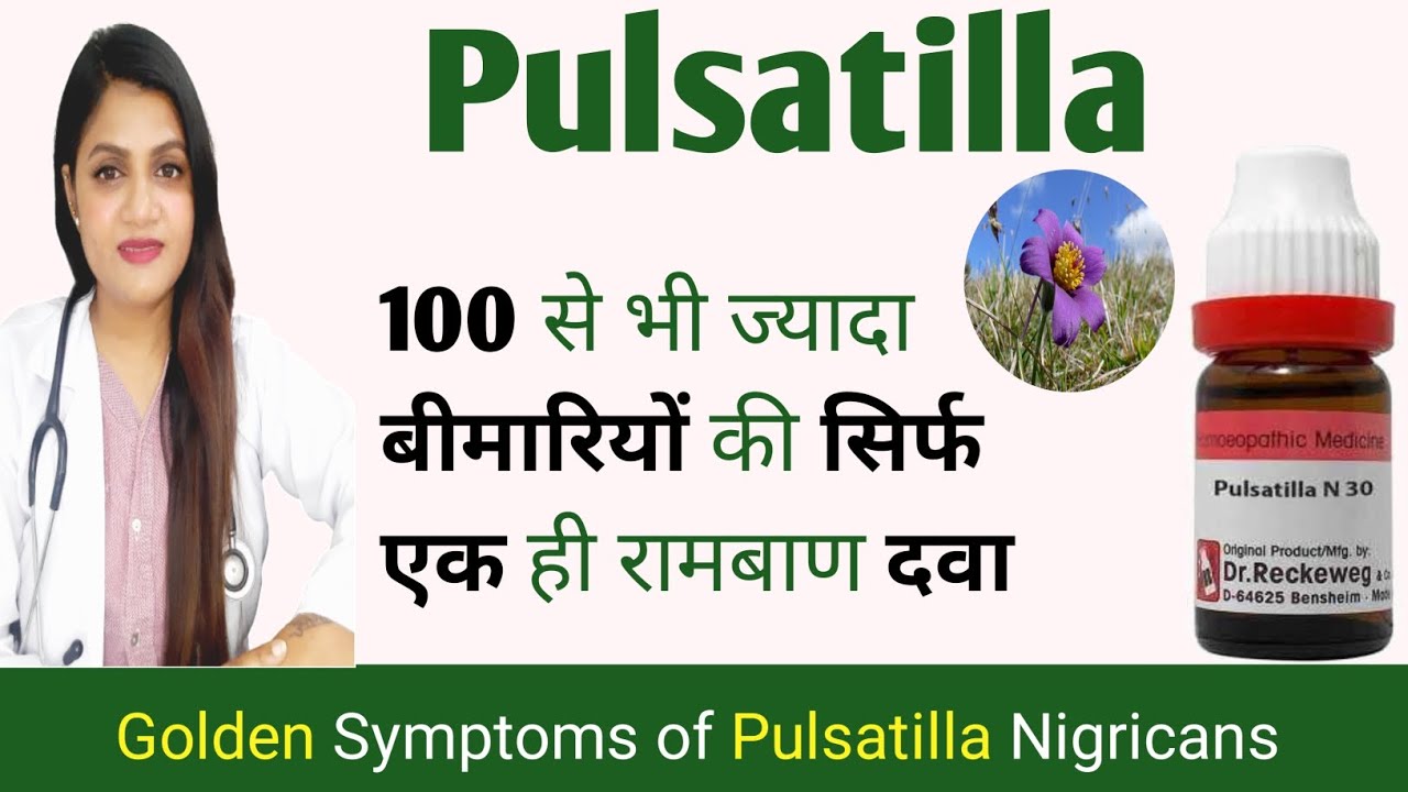 Pulsatilla Homeopathic Medicine Uses In Hindi Pulsatilla 30 pulsatilla-homeopathic-medicine-uses-in-hindi-pulsatilla-30