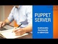 Puppet Server - Managing Packages and Services
