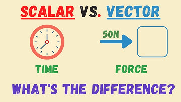 Scalar Quantities Vs. Vector Quantities - What’s the Difference
