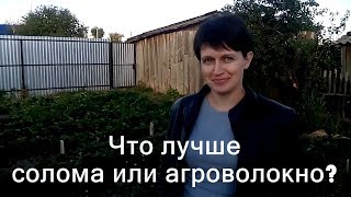 Выращивание клубники. Что лучше для клубники солома или агроволокно(Смотрите видео что лучше клубника под соломой или клубника под агроволокном https://www.youtube.com/edit?o=U&video_id=58urTNDOP84..., 2015-09-01T18:30:34.000Z)