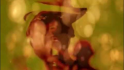 Step In The Name Of Love (The Video) · R. Kelly (Official music video)