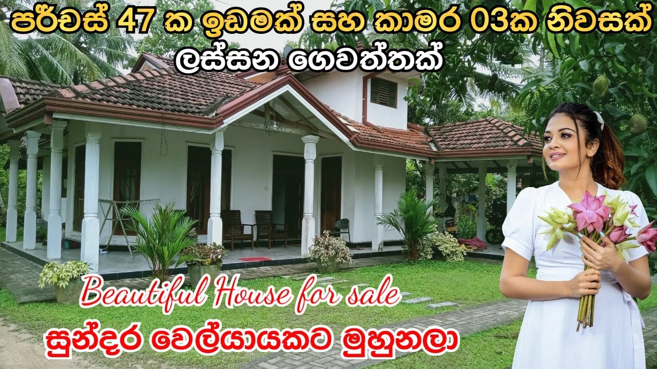 සුන්දර වෙල්යායකට මුහුණලා | ලස්සන ගෙවත්තක් සමග නිවසක් විකිණීමට #acland