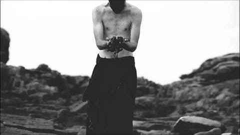 treha sectori.martyrehena sohne chiasm