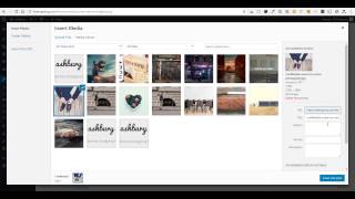 Ashbury WordPress Theme - About Widget