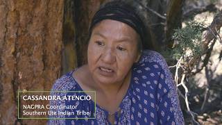 La Botica The Pharmacy Stewardship Property Video