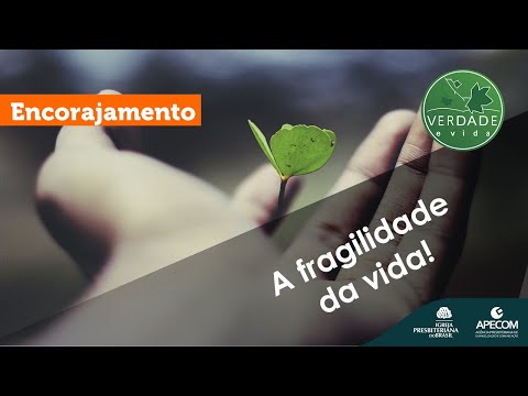 A fragilidade da vida